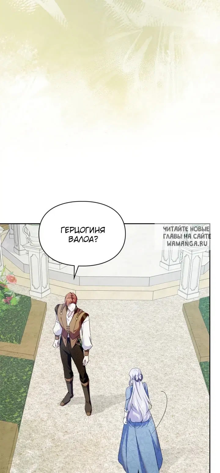 Page 61.000