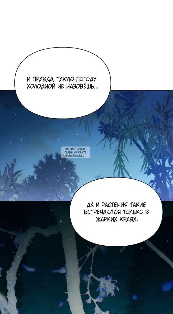 Page 61.000