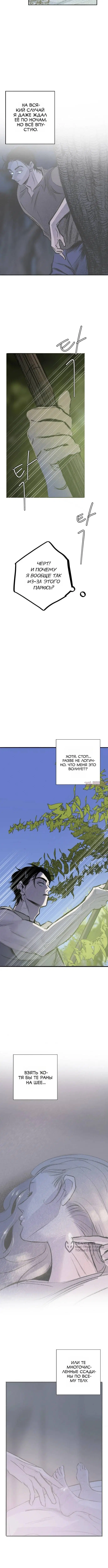 «Тайный сад», глава 13, страница 5.000000000