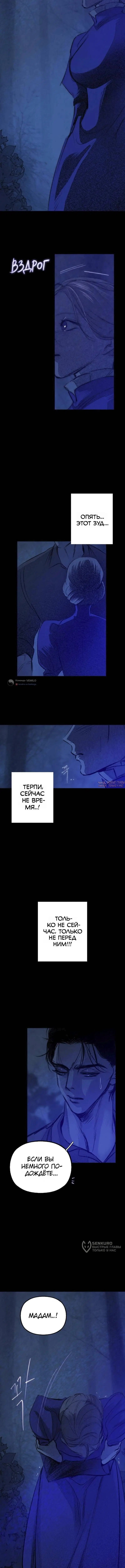 «Тайный сад», глава 21, страница 9.000000000