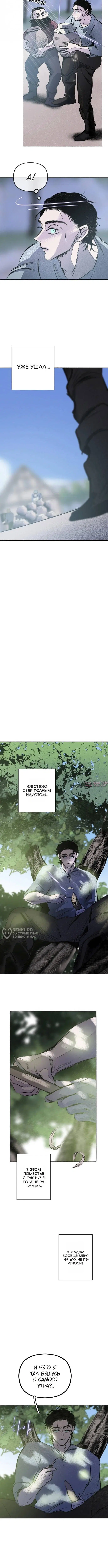 «Тайный сад», глава 14, страница 2.000000000