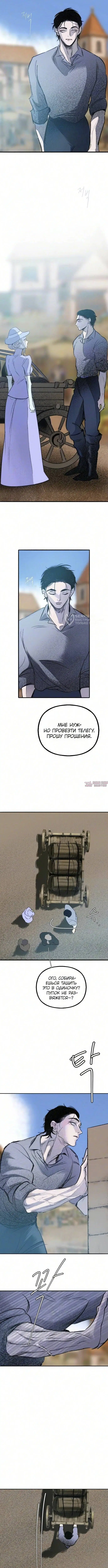 «Тайный сад», глава 26, страница 3.000000000