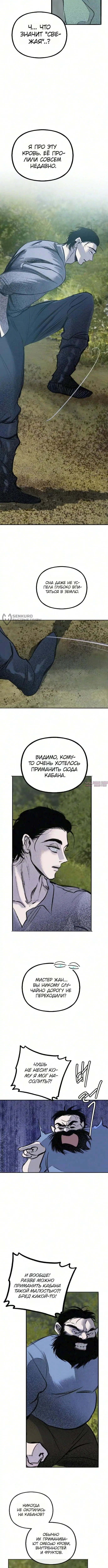 «Тайный сад», глава 27, страница 11.000000000