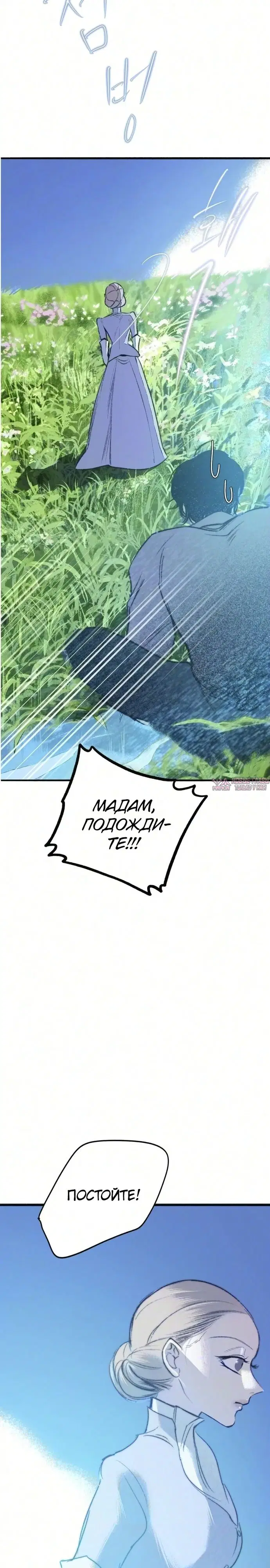 «Тайный сад», глава 30, страница 28.000000000