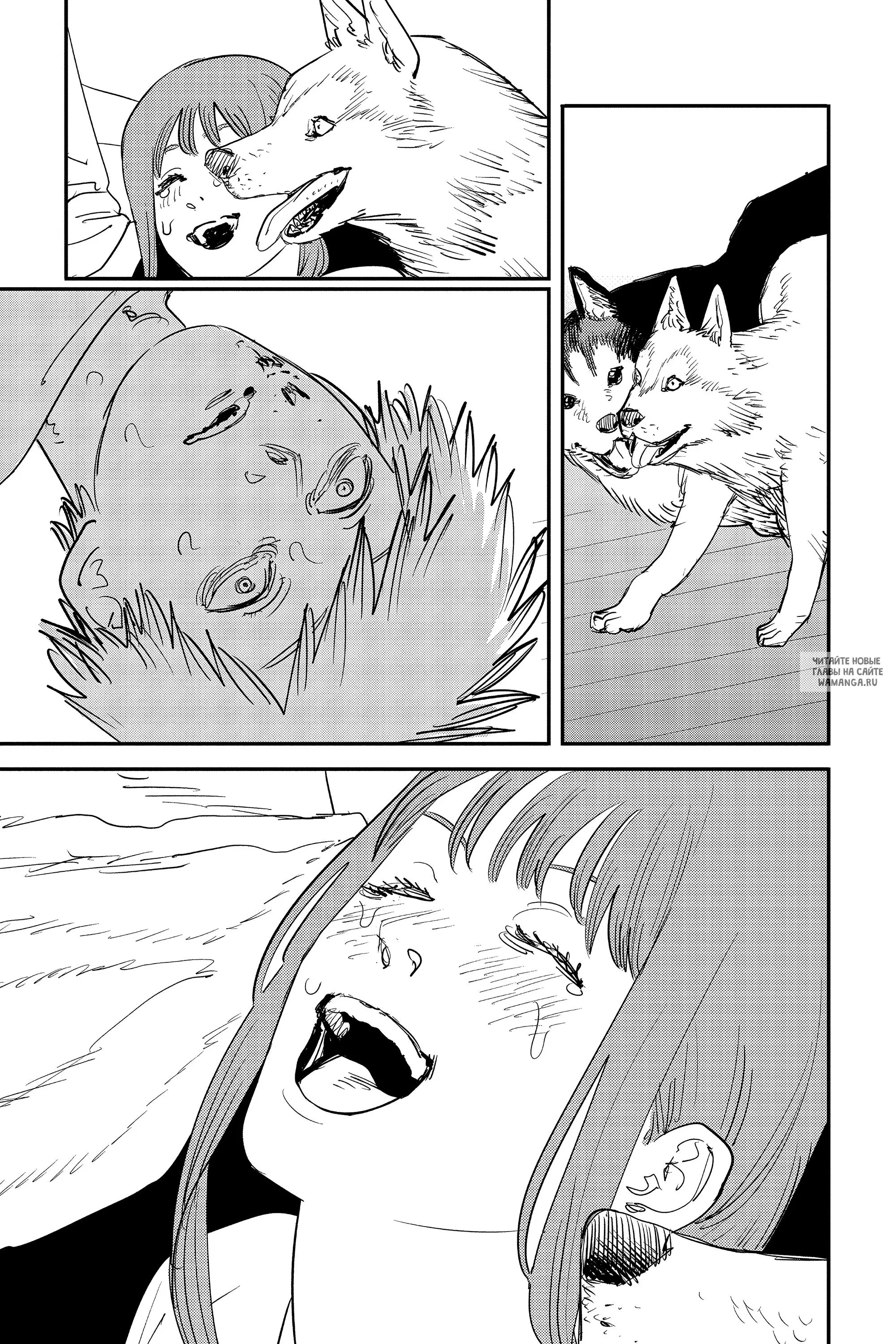 Page 5.000