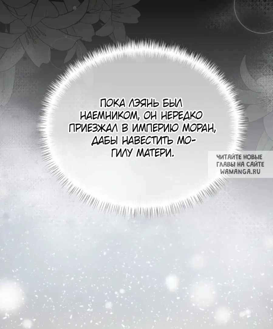 Page 36.000
