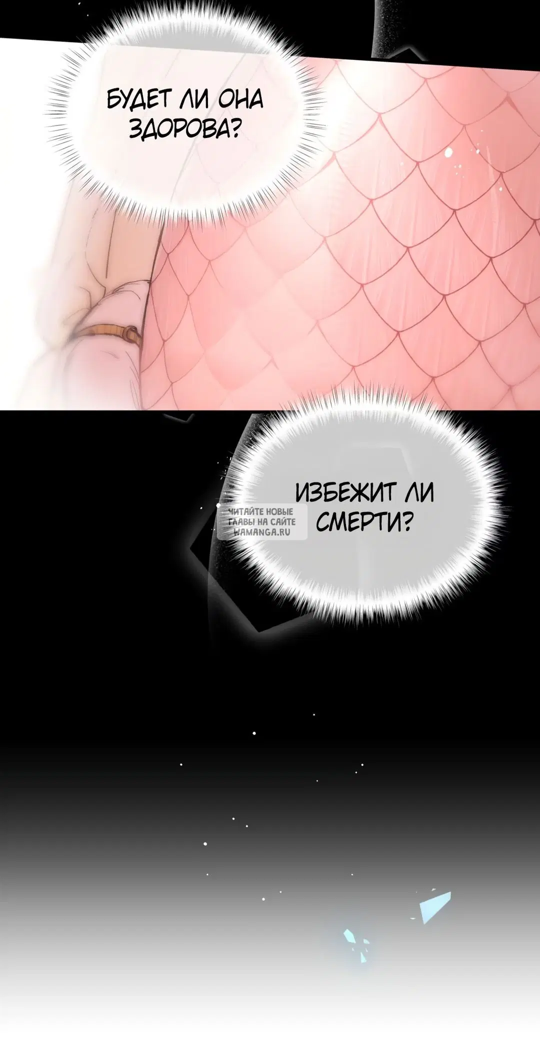 Page 54.000