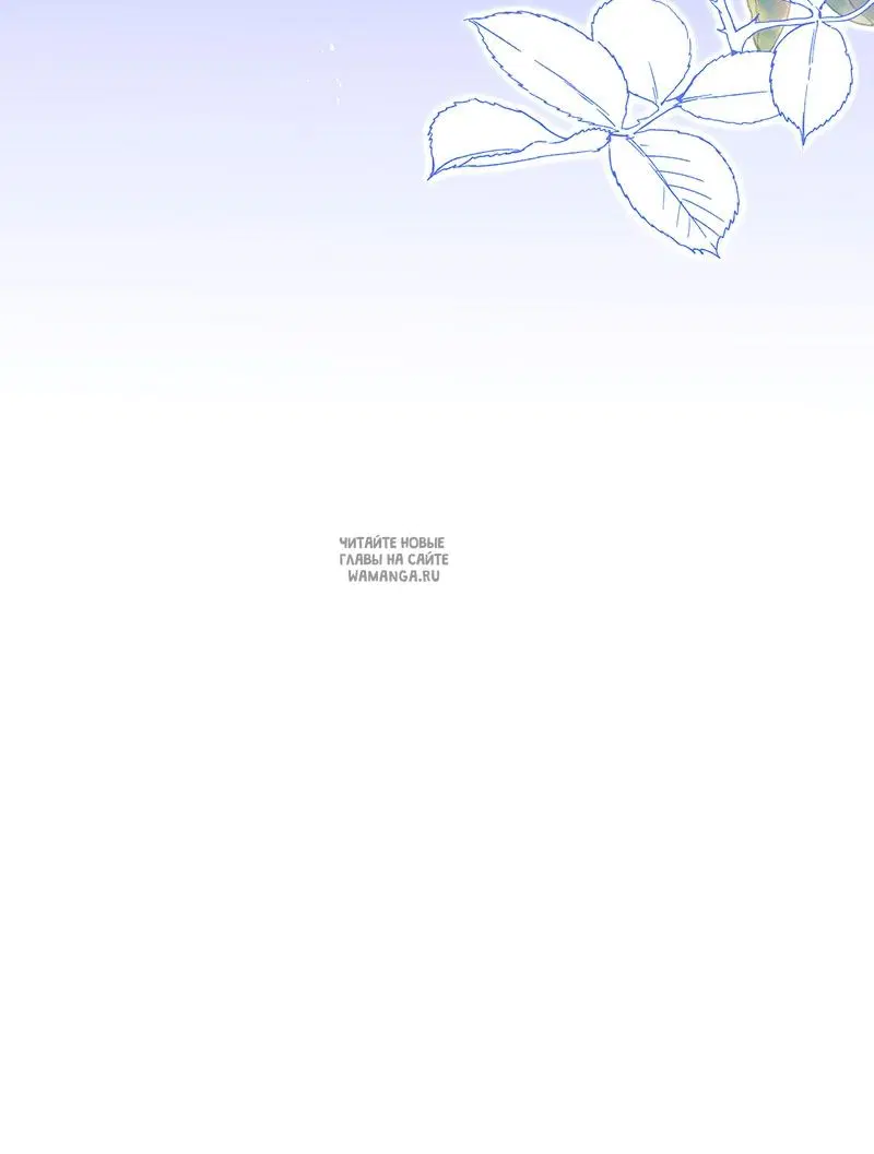 Page 55.000