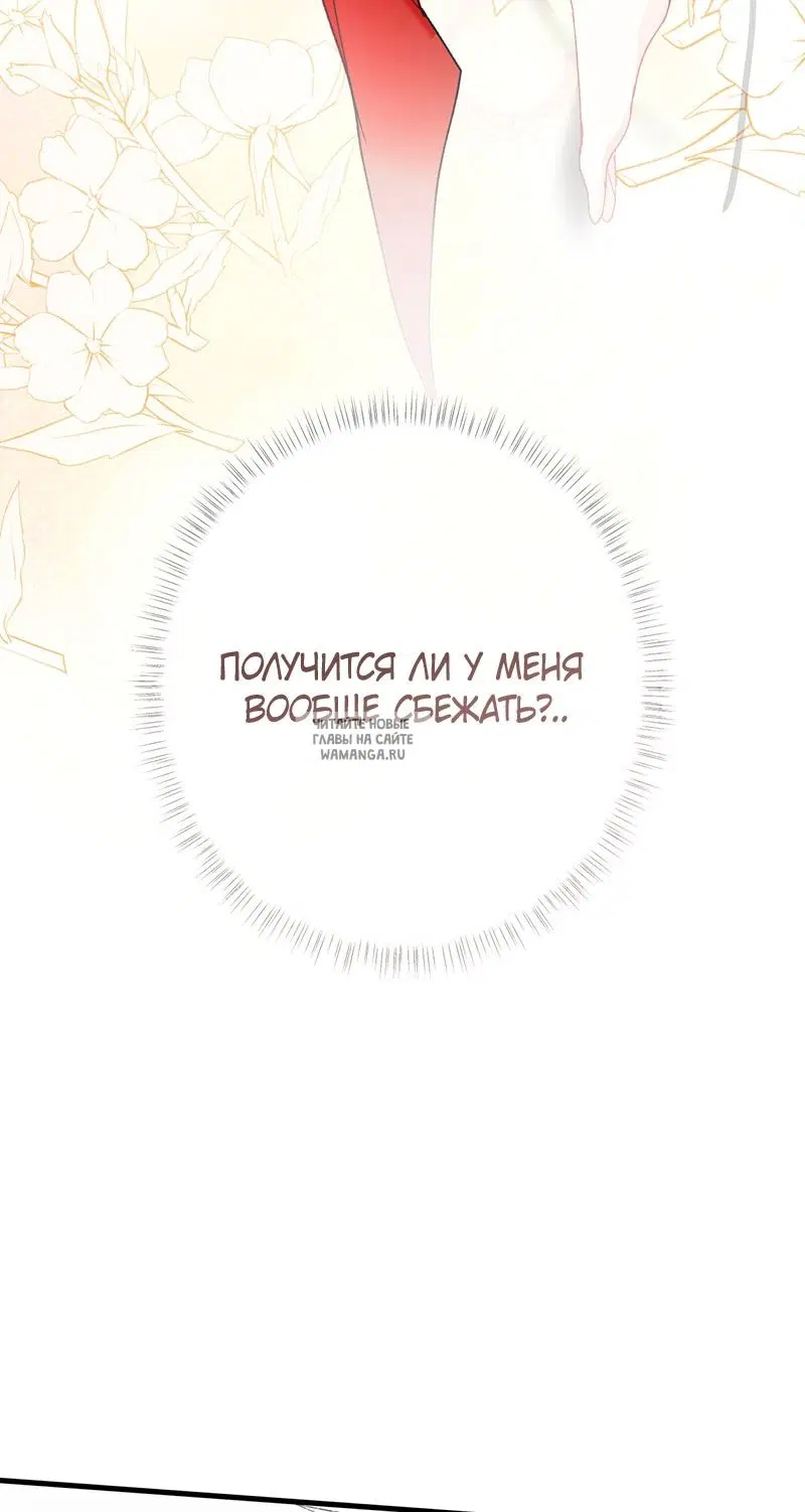 Page 50.000