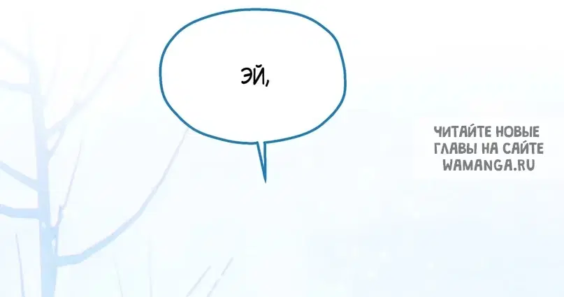 Page 61.000