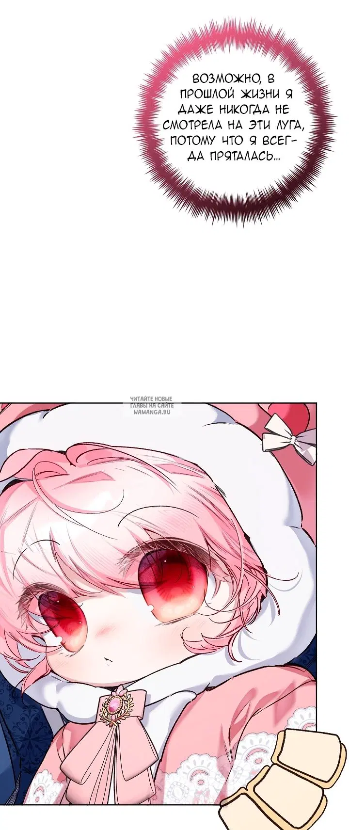 Page 43.000