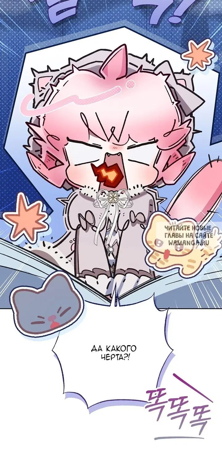 Page 53.000