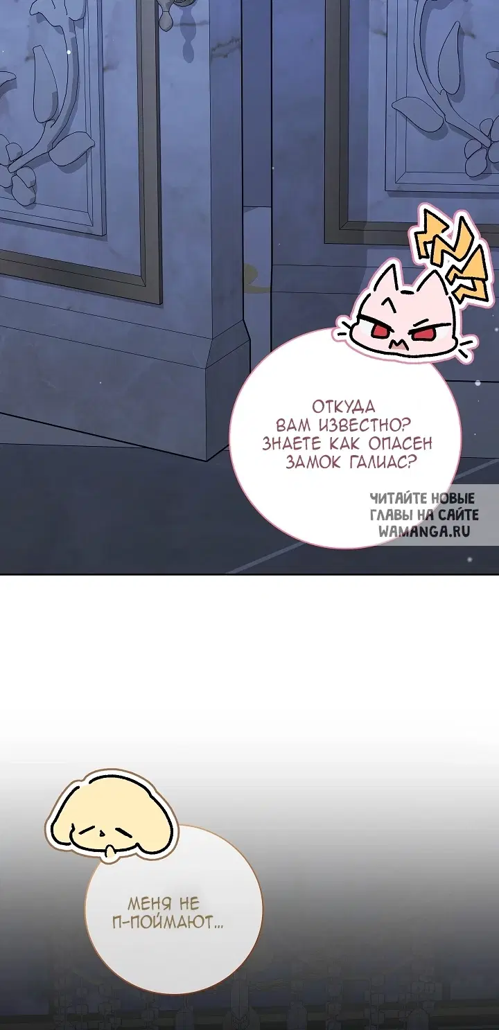 Page 61.000