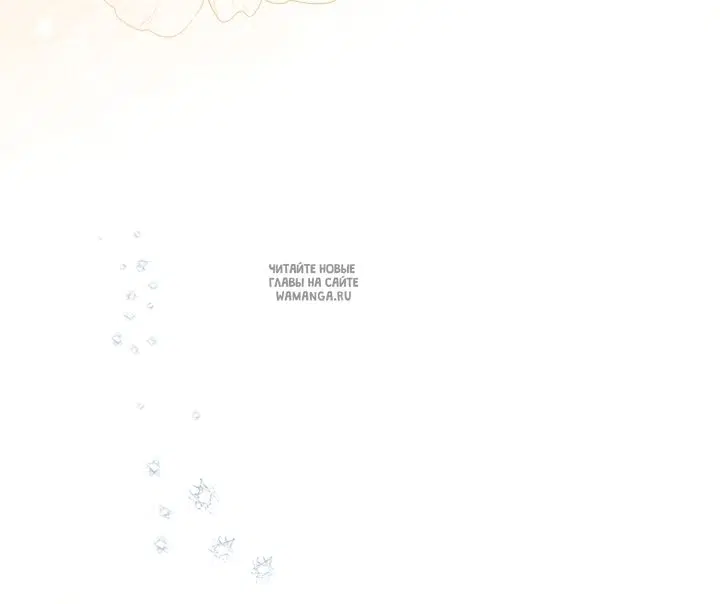 Page 41.000