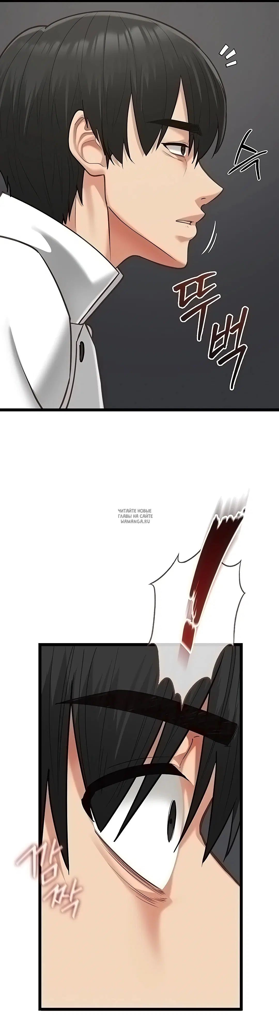 Page 31.000