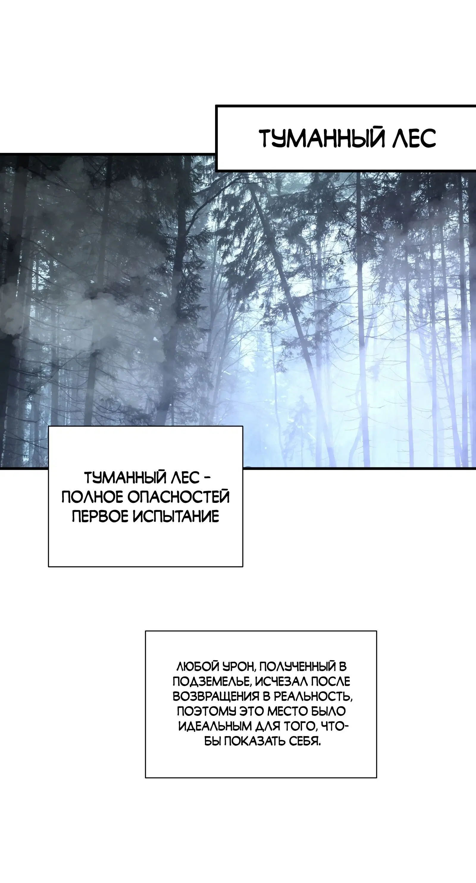 Page 3.003