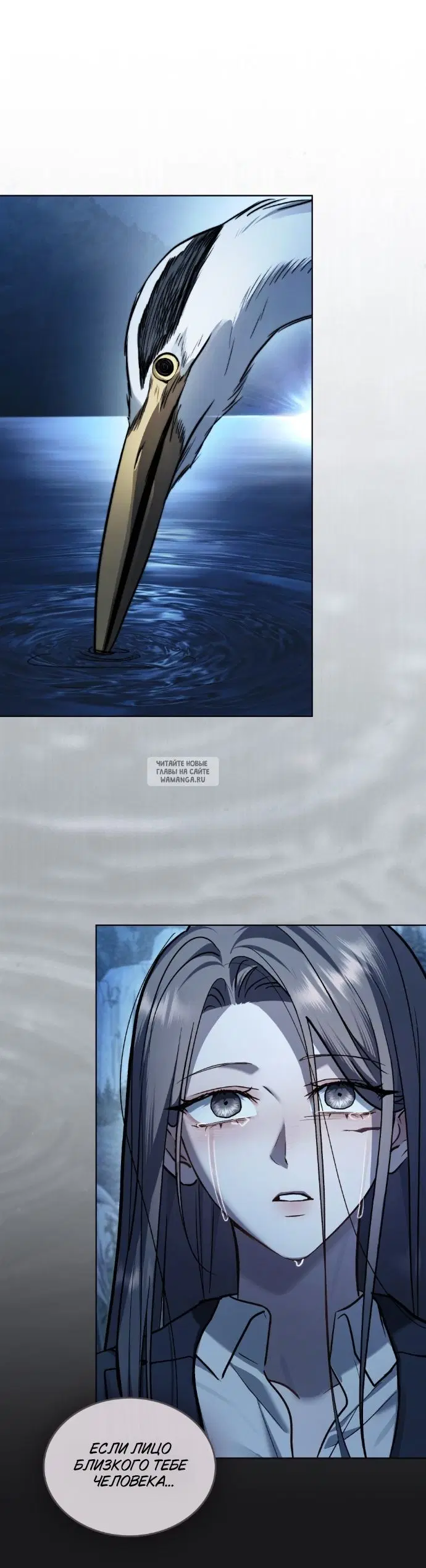 Page 22.000