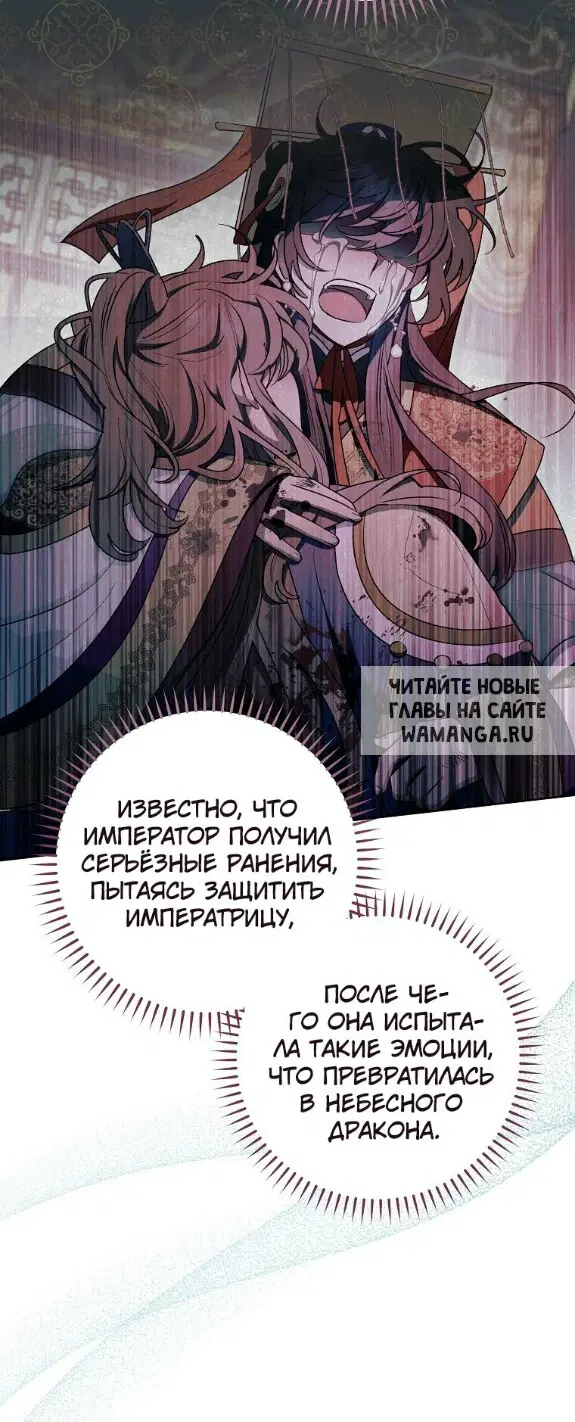 Page 35.000