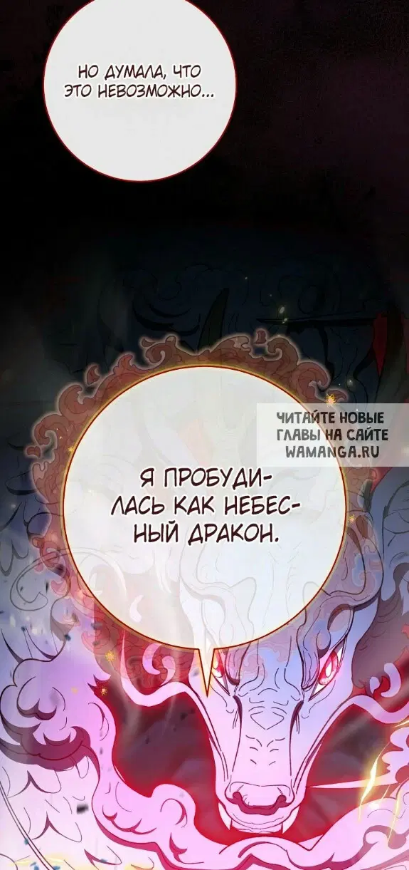 Page 39.000