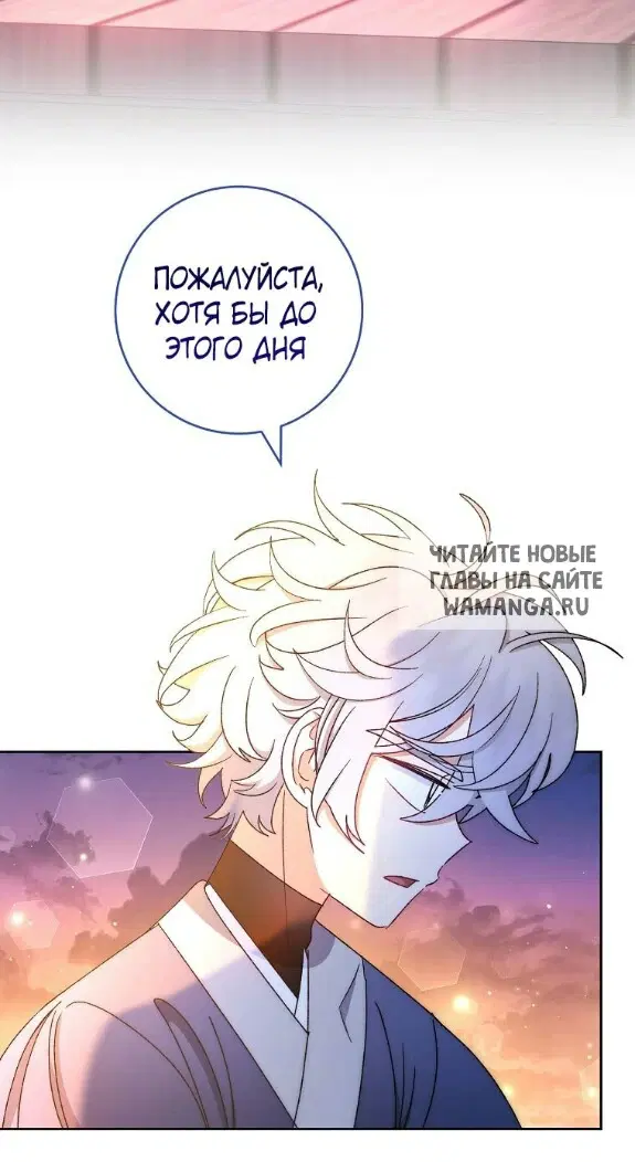 Page 31.000