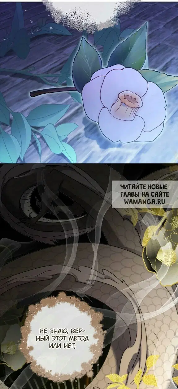 Page 49.000