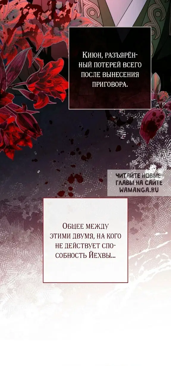 Page 40.000