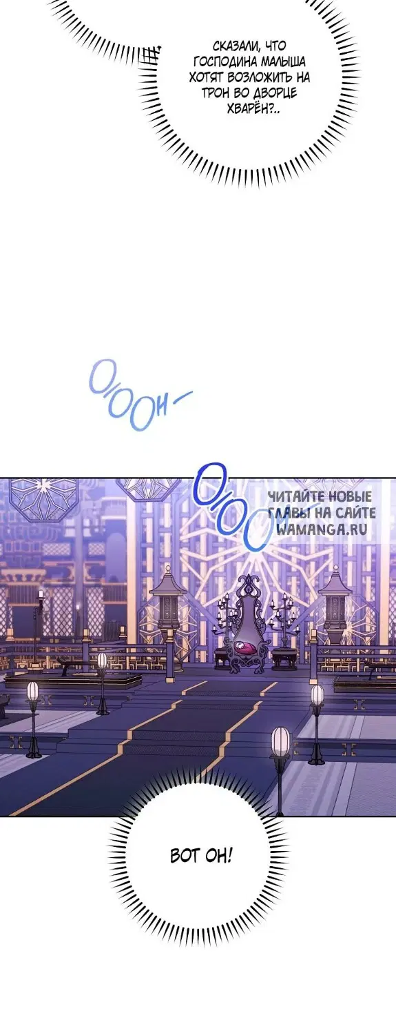 Page 40.000