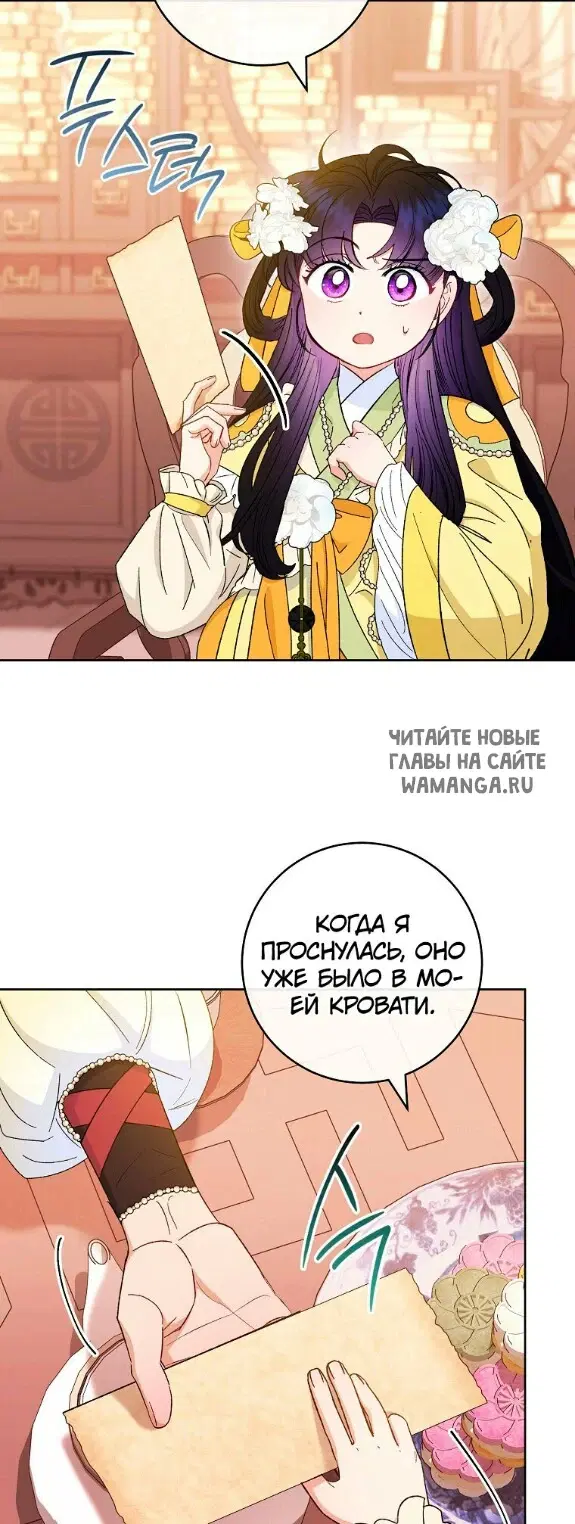 Page 51.000