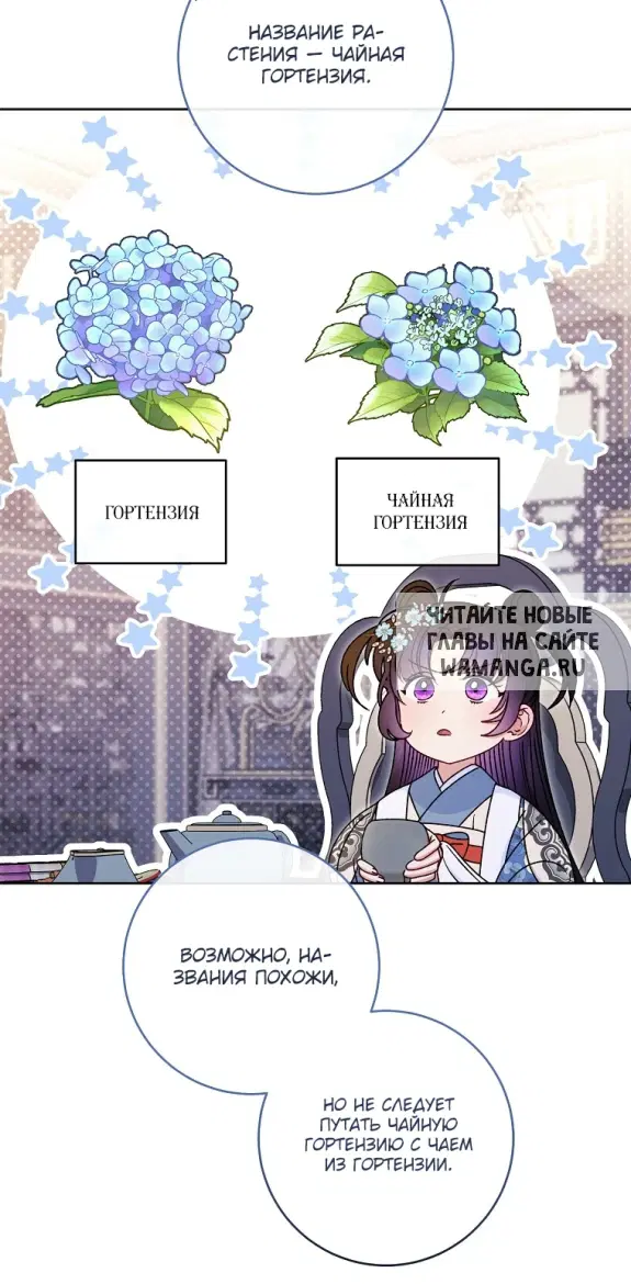 Page 52.000