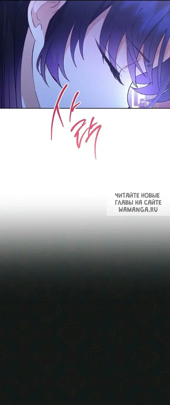 Page 61.000