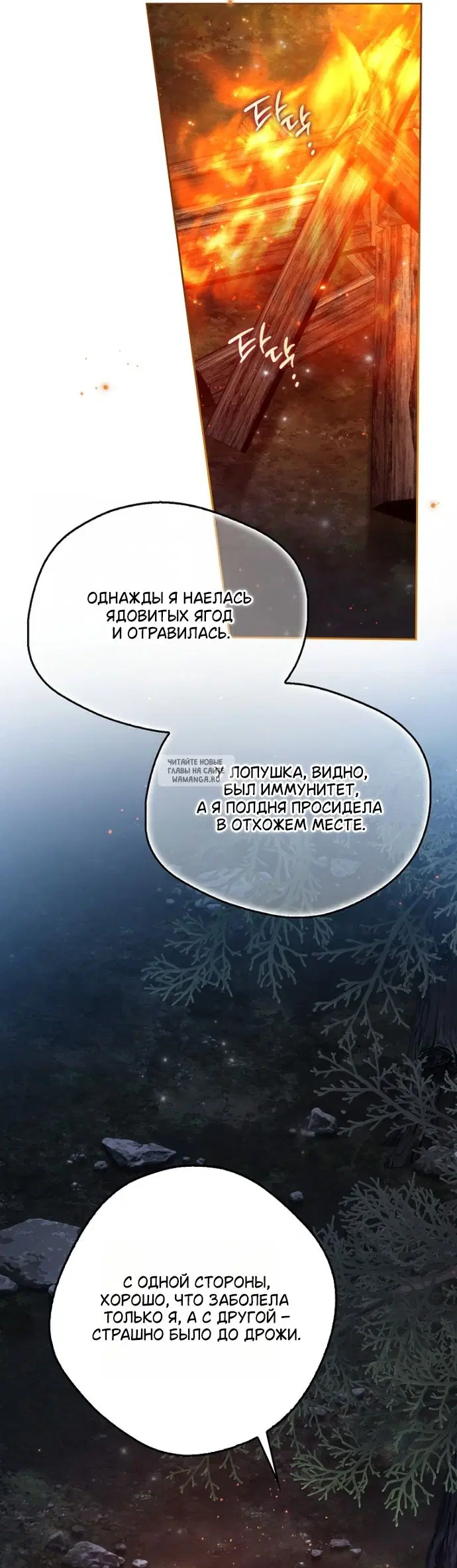 Page 20.000