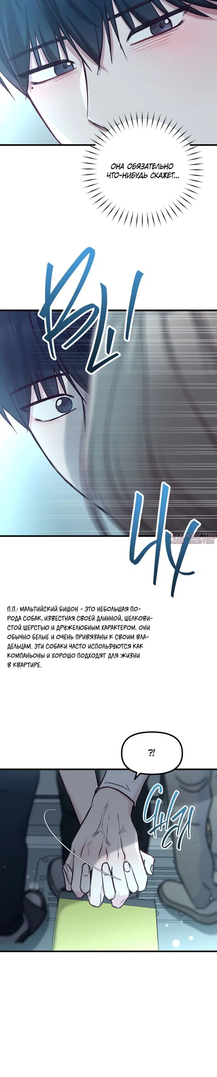 «Встреча посередине», глава 51, страница 8.001000000