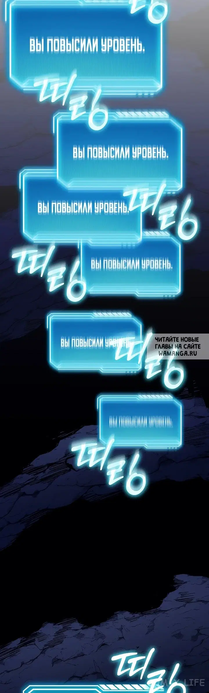 Page 81.000