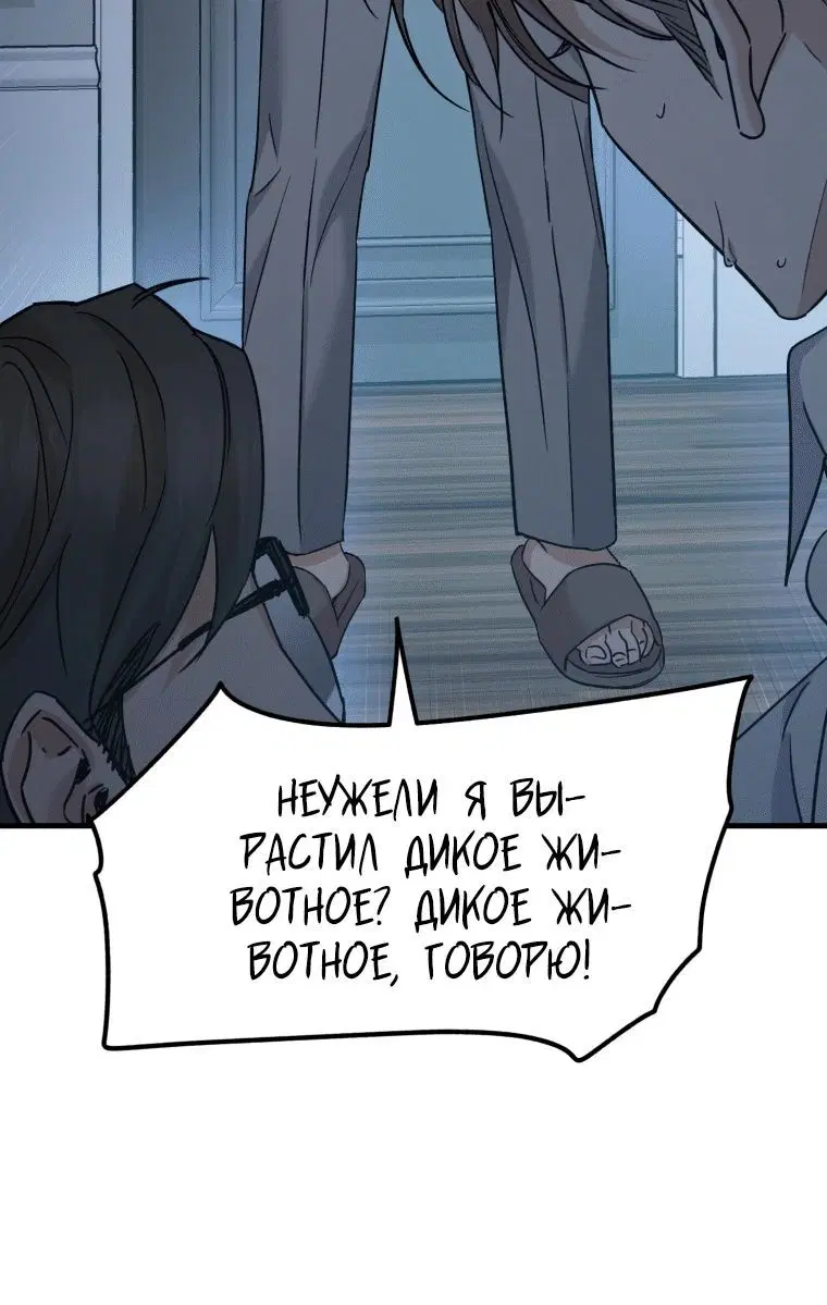 Page 5.001