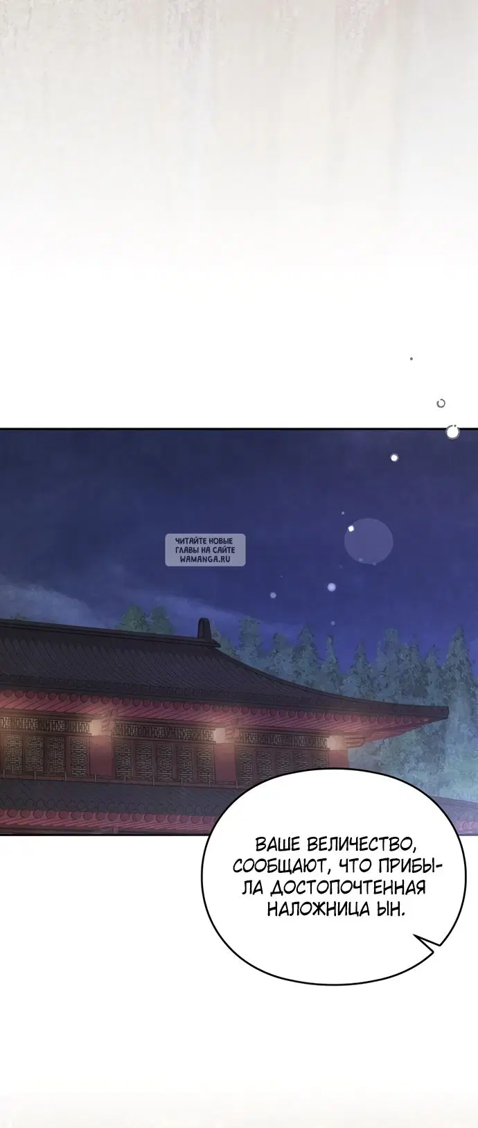 Page 50.000