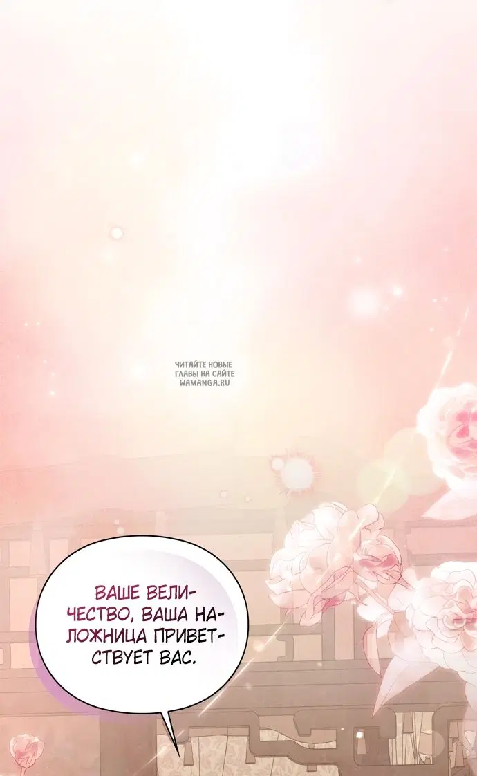 Page 53.000