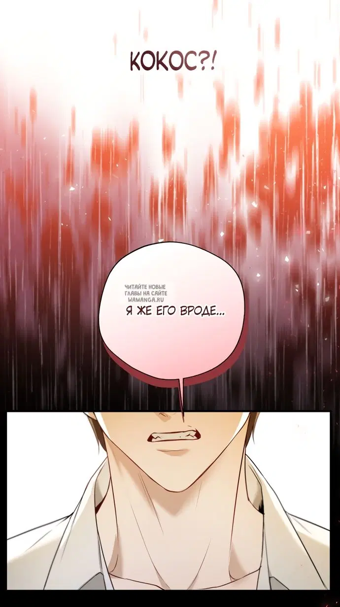 Page 25.000