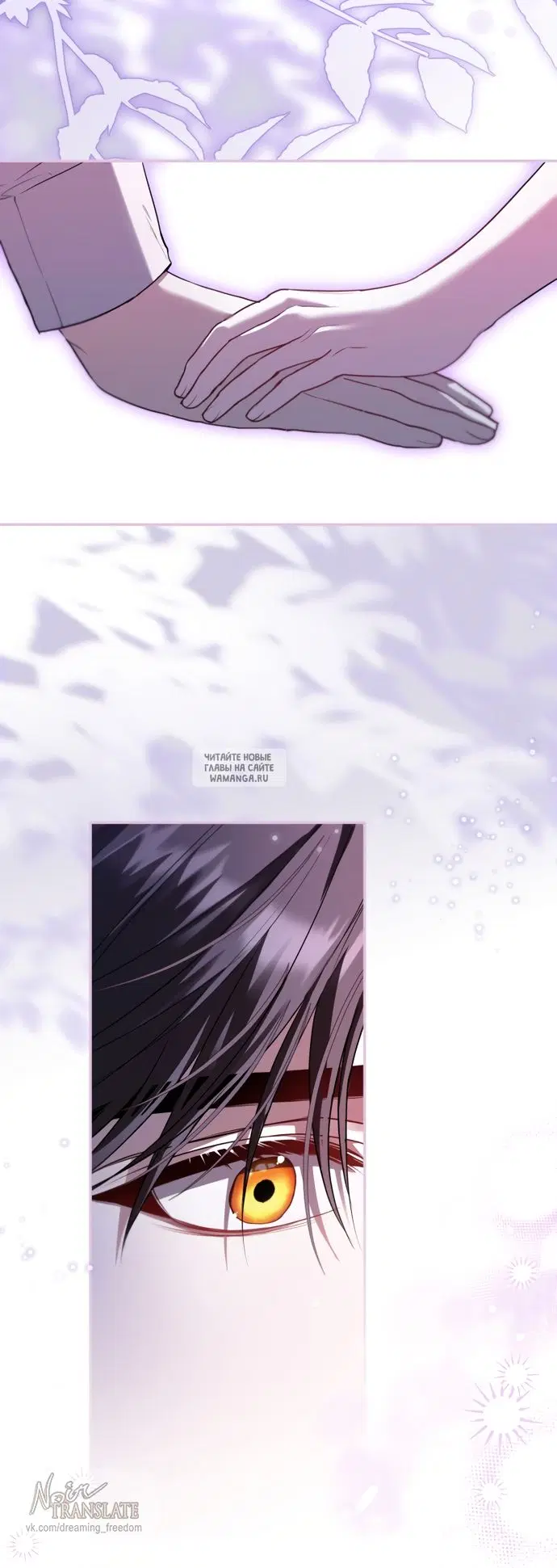 Page 41.000