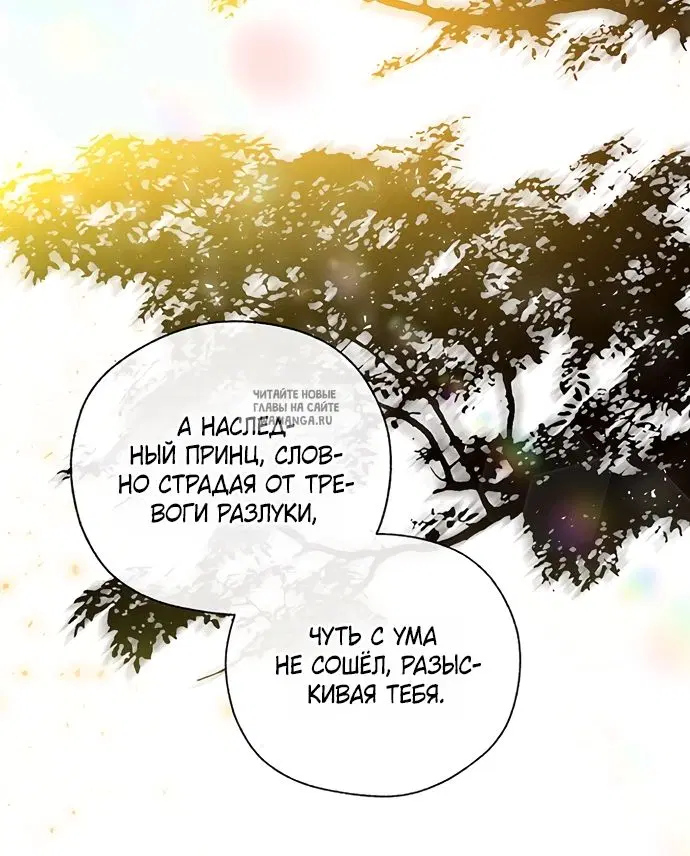 Page 55.000
