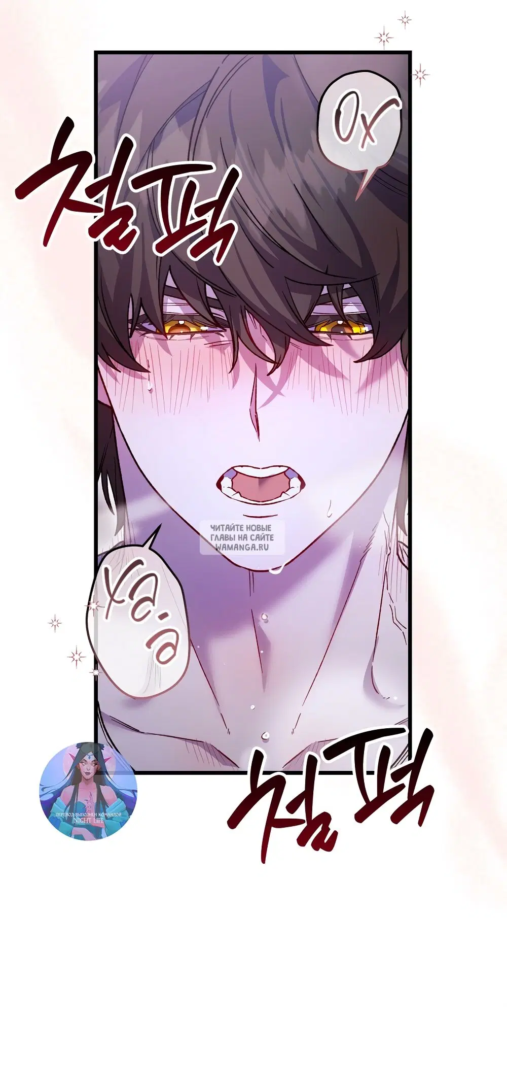 Page 31.000