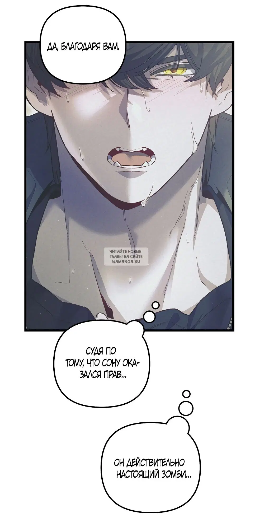 Page 49.000