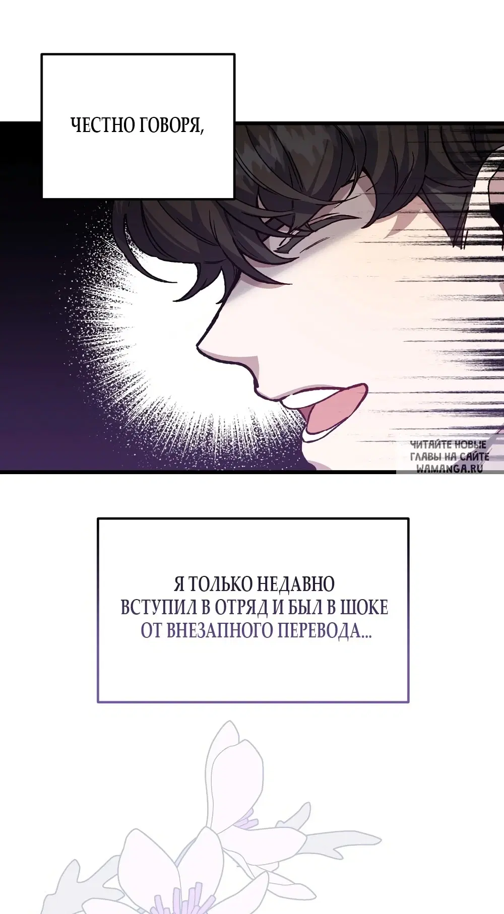 Page 43.000
