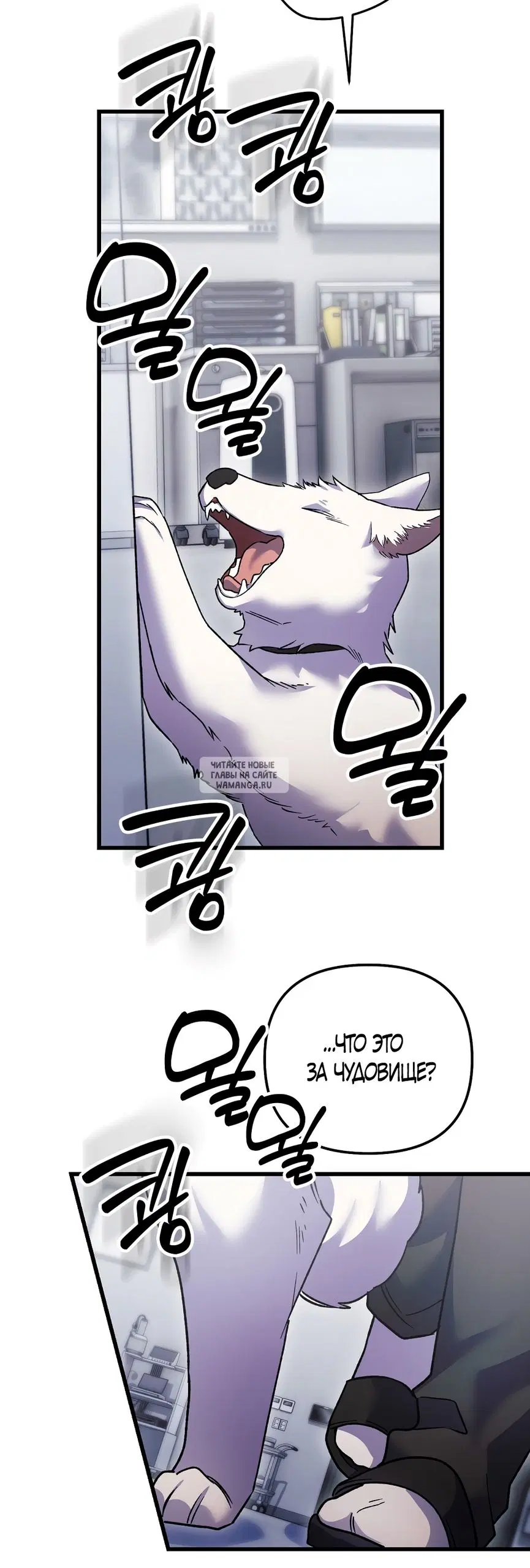 Page 50.000