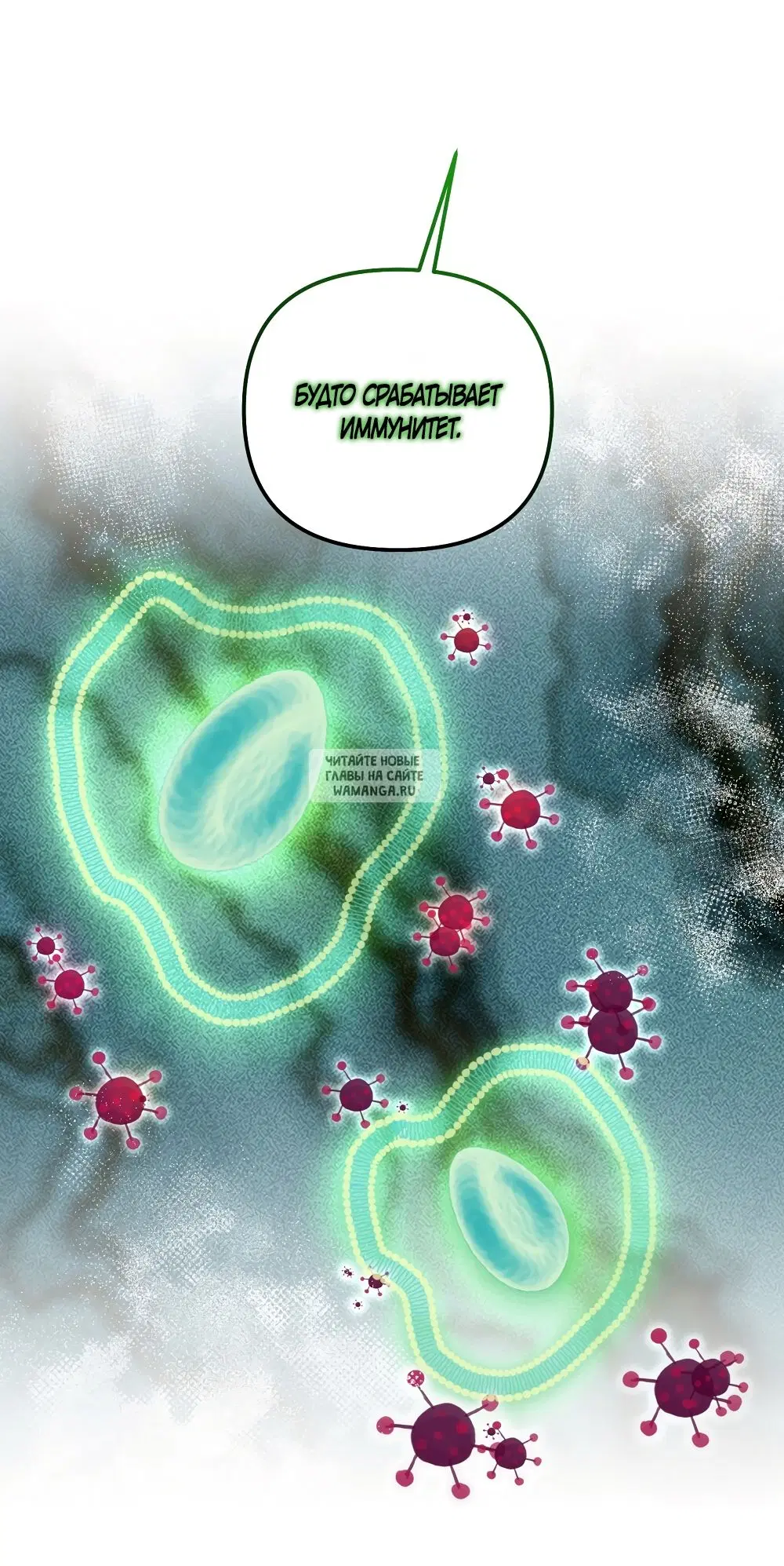 Page 61.000