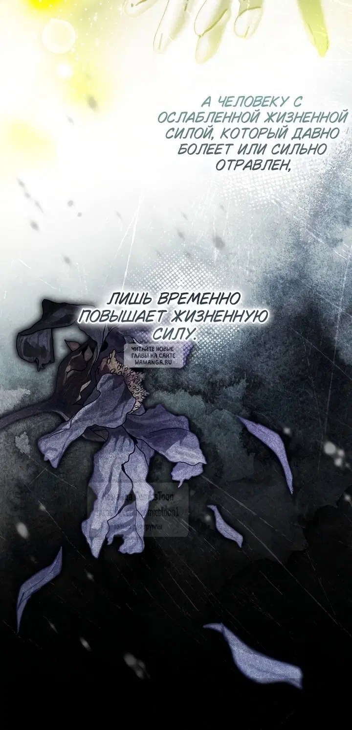 Page 43.000