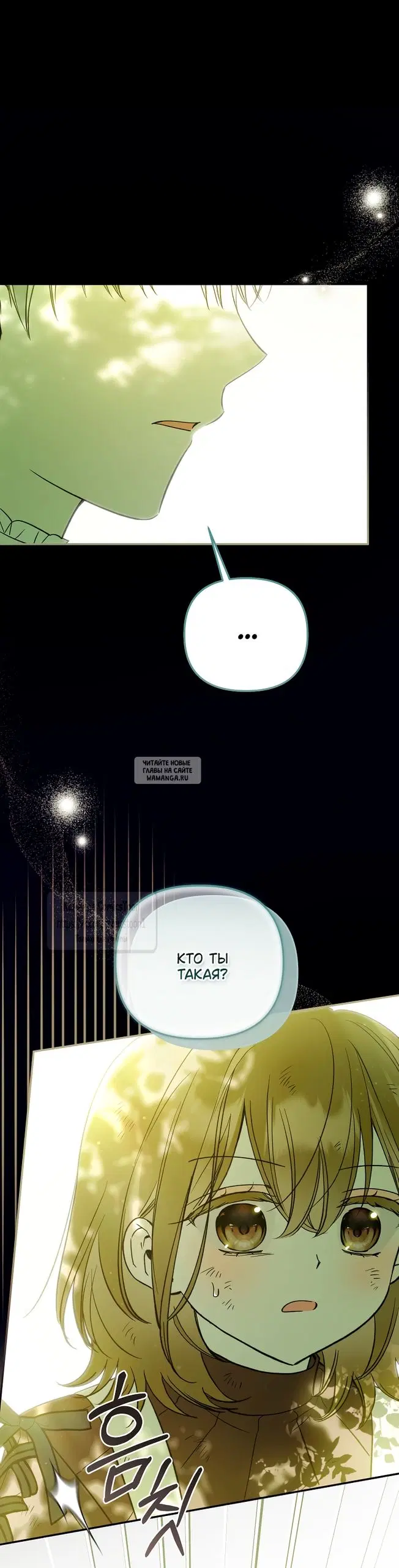 Page 53.000