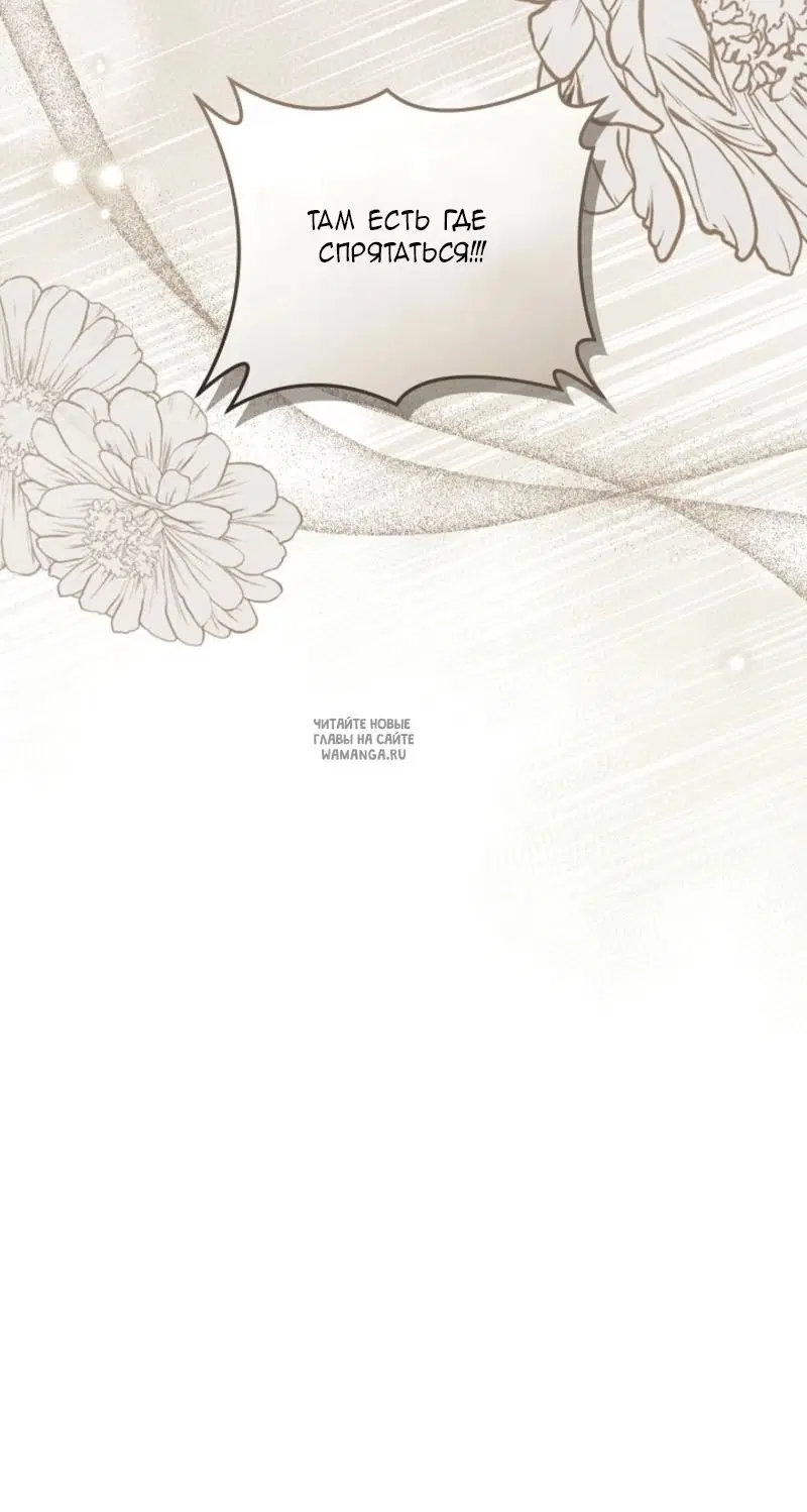 Page 37.000