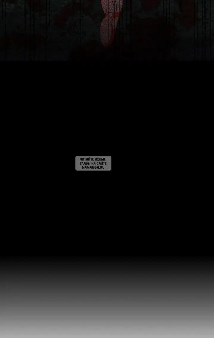Page 49.000