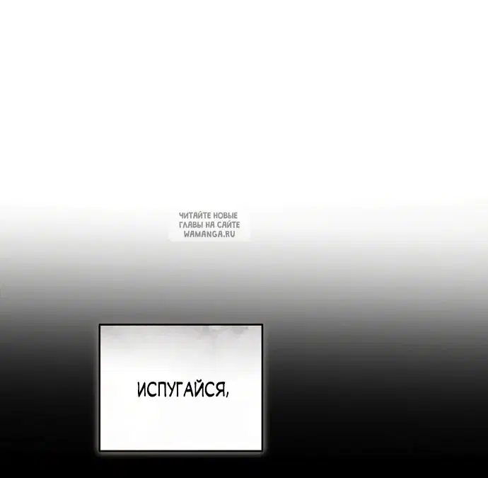 Page 40.000