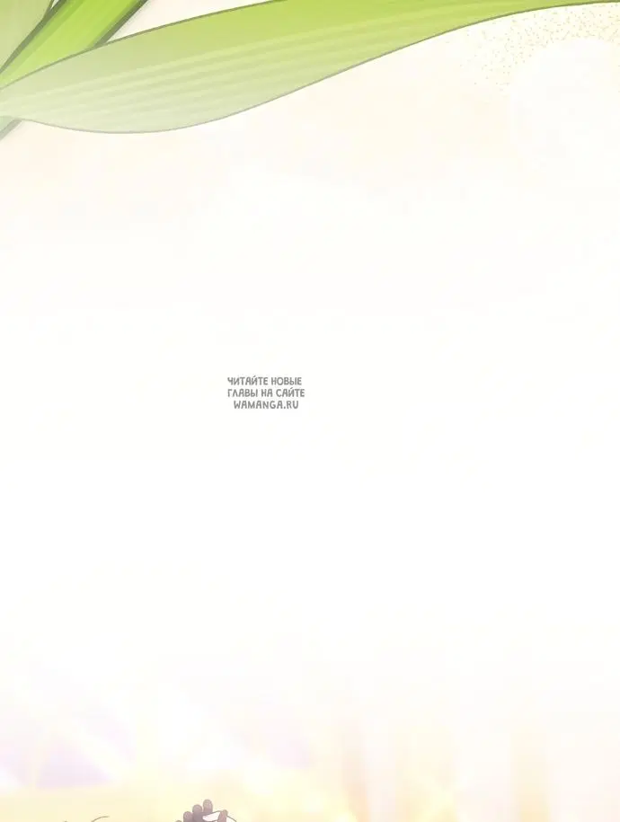 Page 43.000